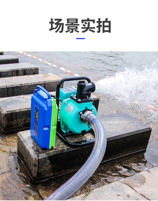 直流电动潜水泵48V60V72V伏电动车抽水机农用家用电瓶车抽水泵